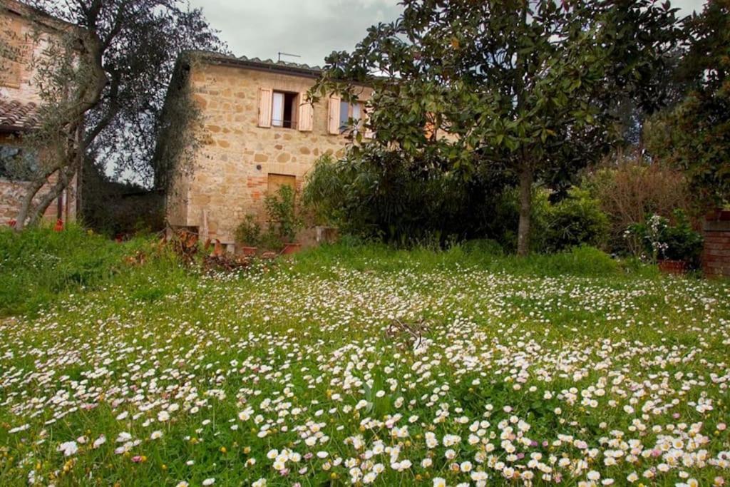 La Vigna Agriturismo Villa Siena Exterior photo
